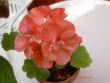 tn_gallery_9377_3959_9981.jpg