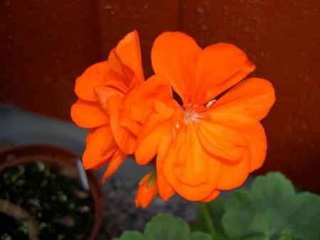 gallery_9377_3961_26480.jpg