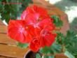 tn_gallery_9377_3961_26781.jpg