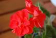 tn_gallery_9377_3961_31299.jpg