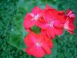 tn_gallery_9377_3961_3136.jpg