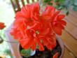 tn_gallery_9377_3961_8777.jpg