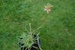 tn_gallery_9377_3962_24781.jpg