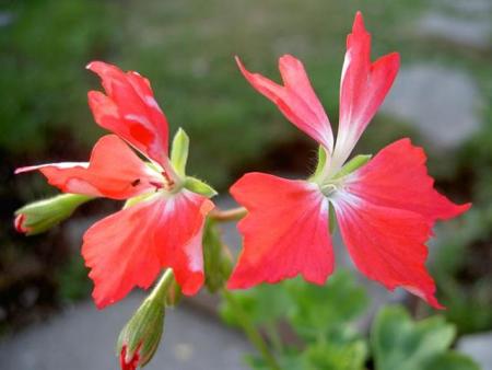 gallery_9377_3963_21139.jpg