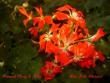tn_gallery_9377_3962_28649.jpg
