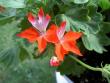 tn_gallery_9377_3962_38038.jpg