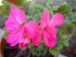 tn_gallery_9377_3962_8370.jpg