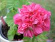 tn_gallery_9377_3963_1894.jpg