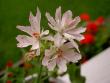 tn_gallery_9377_3963_32627.jpg