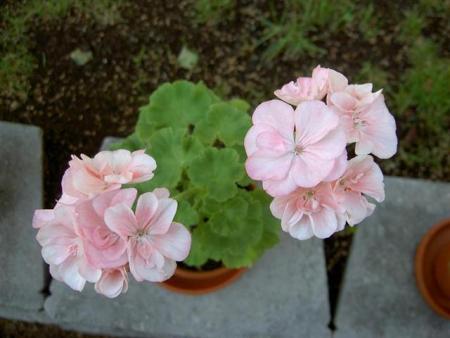 gallery_9377_3964_3261.jpg
