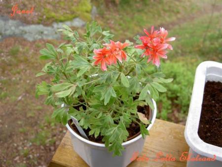 gallery_9377_3964_45097.jpg