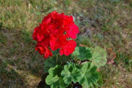 gallery_9377_3964_6001.jpg