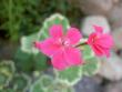 tn_gallery_9377_3963_12459.jpg