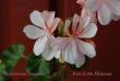 tn_gallery_9377_3963_28293.jpg
