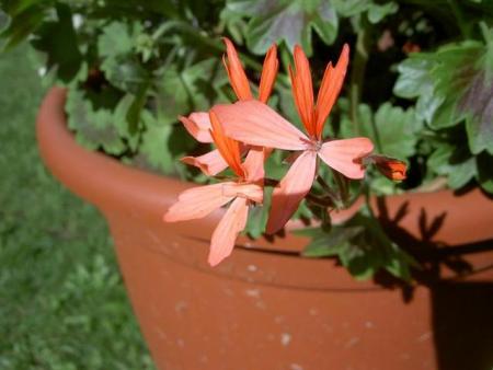 gallery_9377_3965_39755.jpg