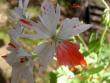 tn_gallery_9377_3965_34665.jpg