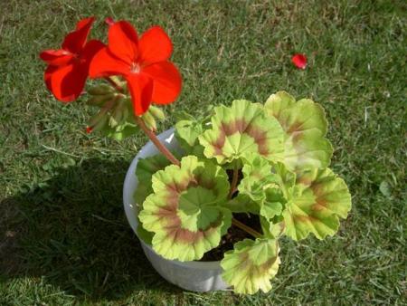 gallery_9377_3966_70153.jpg
