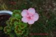 tn_gallery_9377_3966_20276.jpg