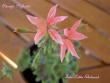 tn_gallery_9377_3968_27465.jpg
