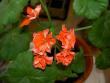 tn_gallery_9377_3968_29657.jpg