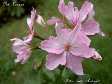 gallery_9377_3969_23074.jpg