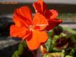 tn_gallery_9377_3968_3613.jpg
