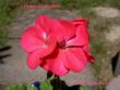 tn_gallery_9377_3968_36282.jpg