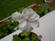 tn_gallery_9377_3969_14977.jpg