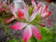tn_gallery_9377_3969_28276.jpg