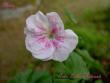 tn_gallery_9377_3969_6046.jpg