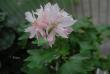 tn_gallery_9377_3969_8721.jpg