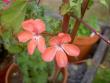 tn_gallery_9377_3969_9052.jpg