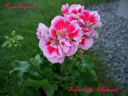 gallery_9377_3970_3354.jpg