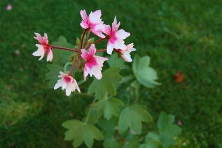 gallery_9377_3970_39215.jpg