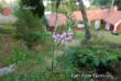tn_gallery_9377_3969_1404.jpg