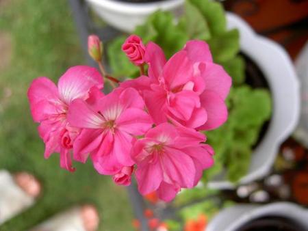 gallery_9377_3970_27966.jpg
