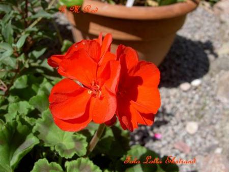 gallery_9377_3970_3746.jpg