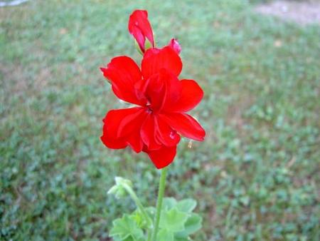 gallery_9377_3971_17994.jpg