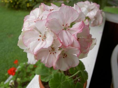 gallery_9377_3971_27044.jpg
