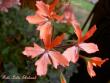 tn_gallery_9377_3970_27187.jpg