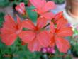 tn_gallery_9377_3971_15307.jpg