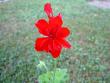 tn_gallery_9377_3971_17994.jpg