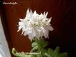 tn_gallery_9377_3971_22977.jpg