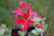 tn_gallery_9377_3971_26456.jpg