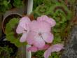 tn_gallery_9377_3971_3162.jpg