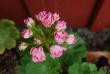 tn_gallery_9377_3971_38989.jpg