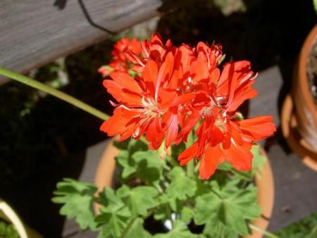 gallery_9377_3973_1819.jpg