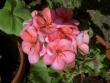 tn_gallery_9377_3971_19467.jpg