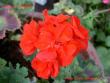 tn_gallery_9377_3972_20248.jpg