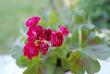 tn_gallery_9377_3972_34125.jpg